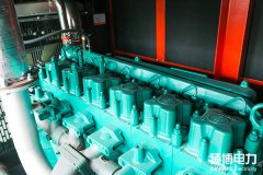 常見柴油機型號的含義是什么？